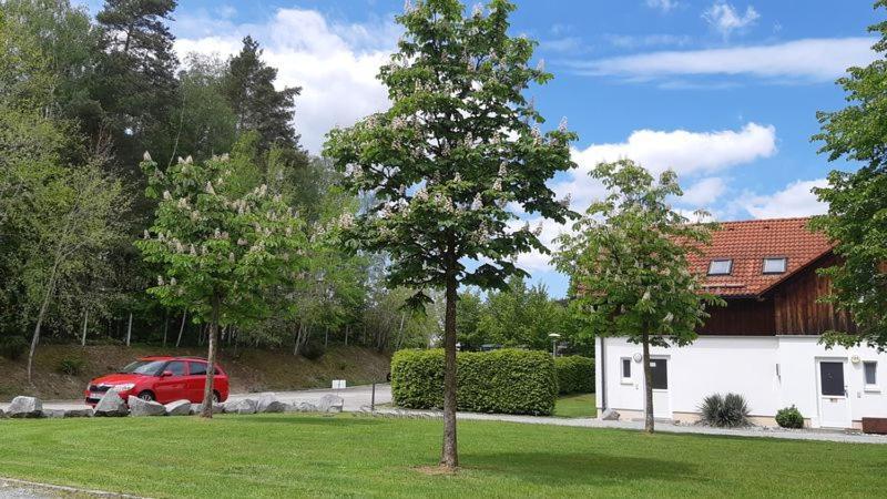 Ferienhaus Bayern Am Ferienpark Westerncity 埃京 外观 照片